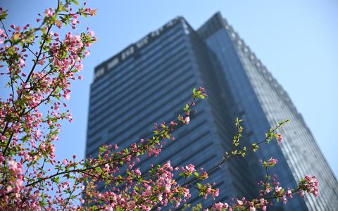 在服務(wù)區(qū)域，感受“花的海洋”